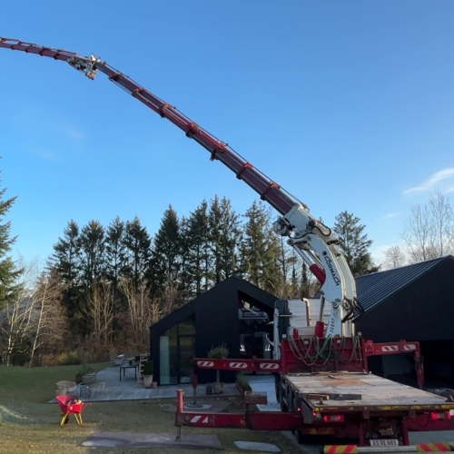 Krankørsel med kranarm løftet over højt grantræ ved hus i Aalborg.