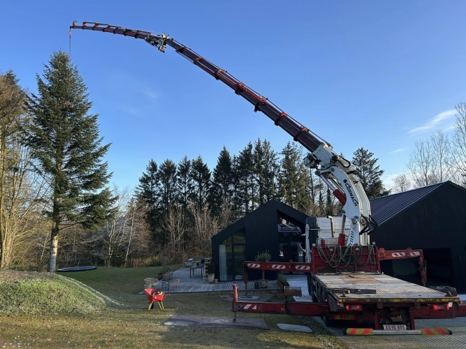 Krankørsel ved grantræ med udstrakt kranarm.